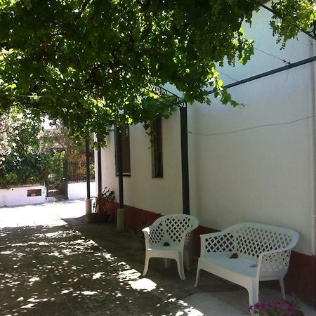 Casa Vacanze Paestum - Cilento Dış mekan fotoğraf