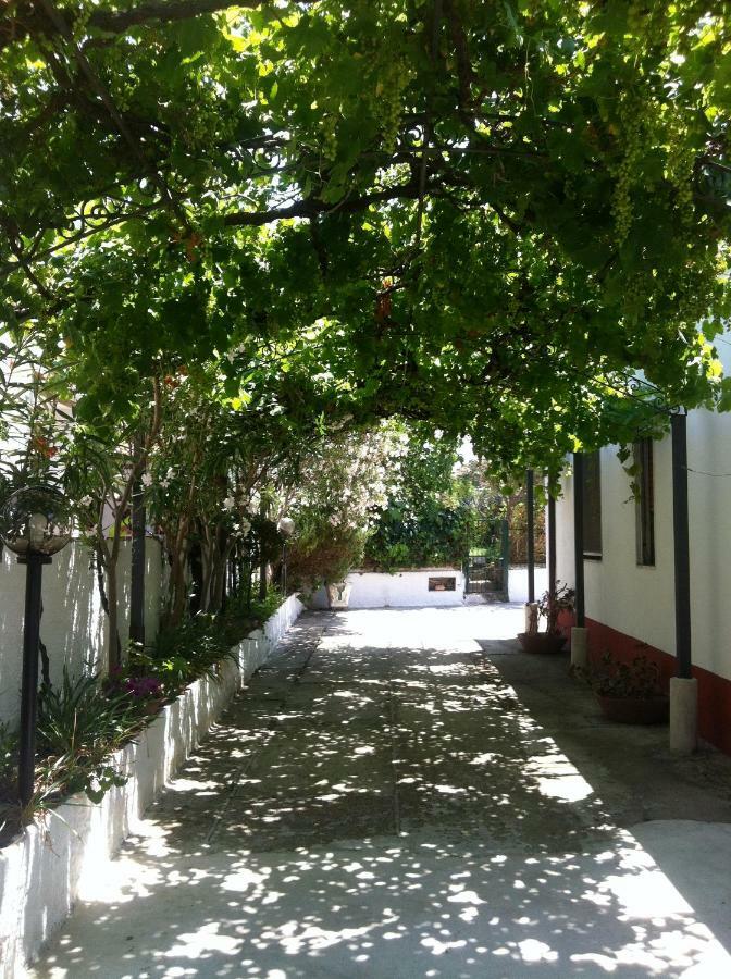 Casa Vacanze Paestum - Cilento Dış mekan fotoğraf